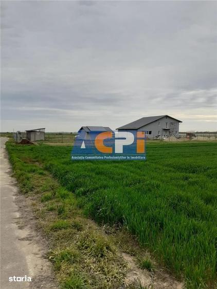 Teren de 500 mp, în Ulmi