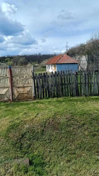 Teren de 4629 mp, în Negreni