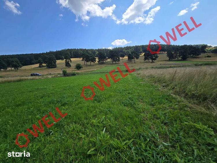 Teren de 3450 mp, în Valea Mare