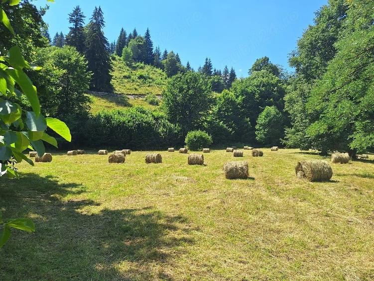 Teren de 18200 mp, în Tulgheș