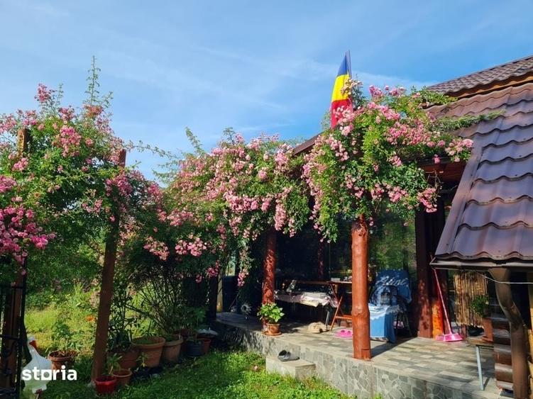Casă cu 3 camere cu Teren 100 Mp în Mesteacăn