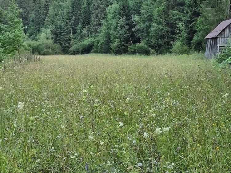 Teren agricol intravilan de 7400 mp, în Colacu