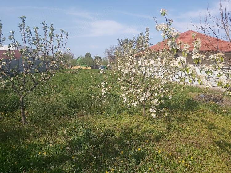 Teren de 1427 mp, în Șiria