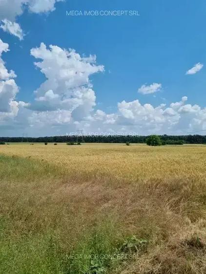 11 Loturi Teren Intravilan | 430 mp / lot | Acces Rapid A2 | Ideal Dezvoltare - 6