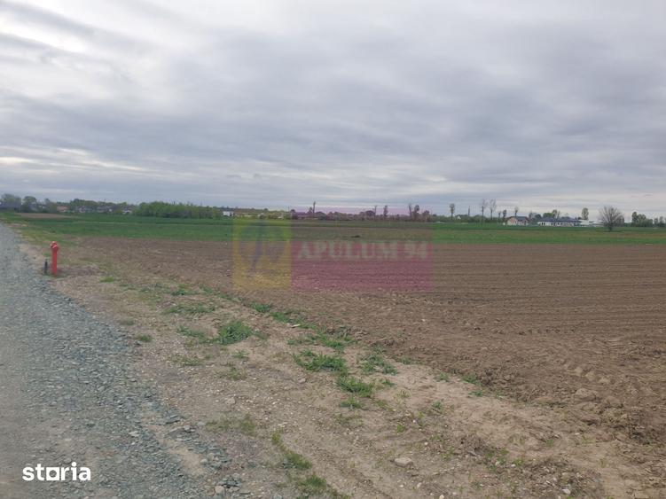 Teren ideal dezvoltare imobiliara in Magurele strada Atmosferei - 13