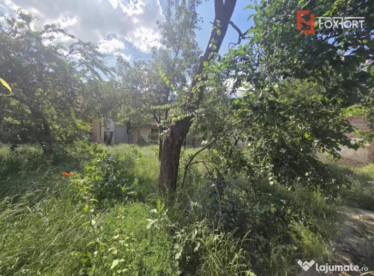 Casă cu 5 camere cu Teren 380 Mp în Funcționarilor