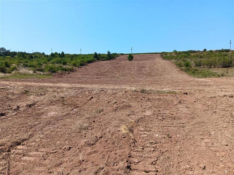 Teren Construcții intravilan de 10000 mp, în Șorogari
