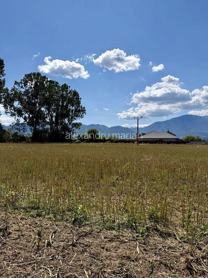 Teren de vanzare Zarnesti/Brasov cu PUZ aprobat si utilitati