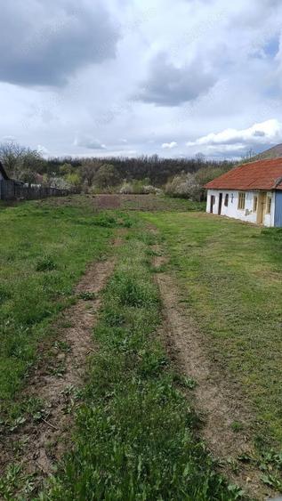 Teren de 4629 mp, în Negreni