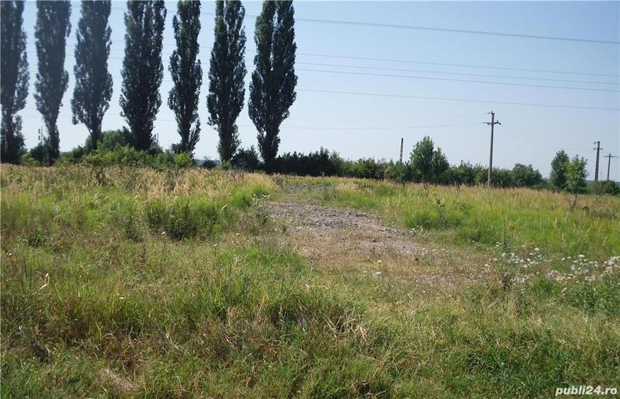 Teren de 2400 mp, în Aninoasa