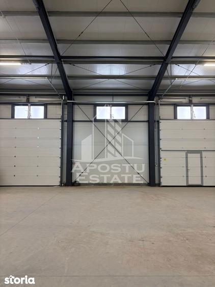 Hala cu acces tir, 300 MP Mosnita noua - 3