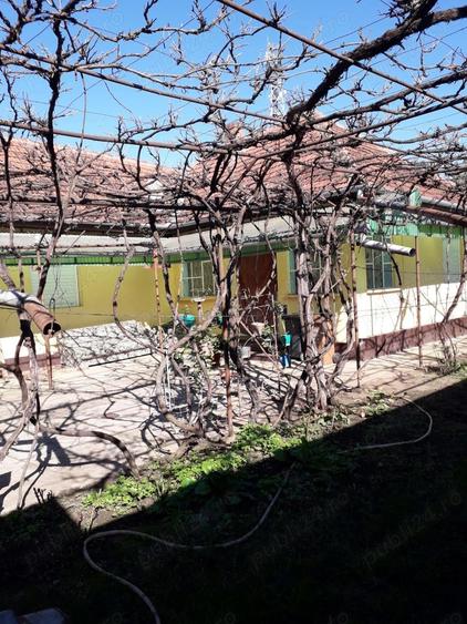 Casă cu 4 camere cu Teren 1329 Mp în Sântana