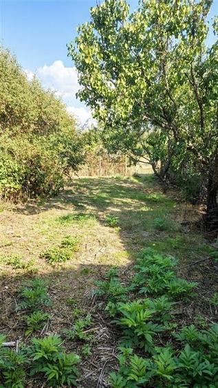 Casă cu 2 camere cu Teren 1597 Mp în Husasău de Tinca