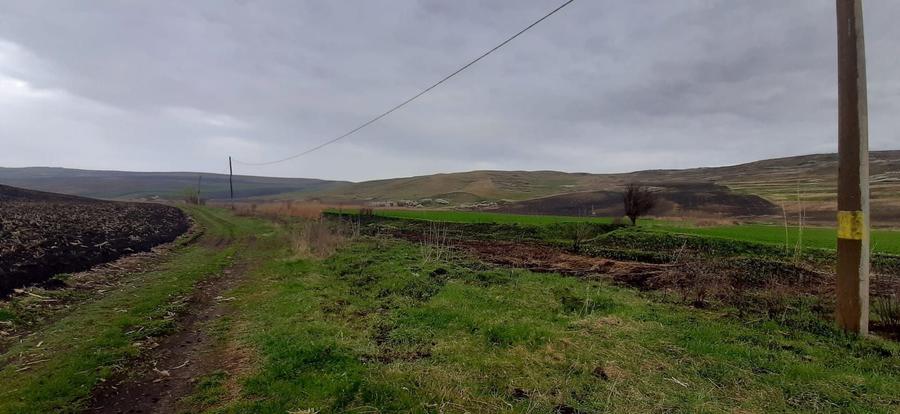 Teren agricol extravilan de 119500 mp, în Iris