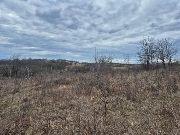 Teren agricol extravilan de 11400 mp, în Iabalcea
