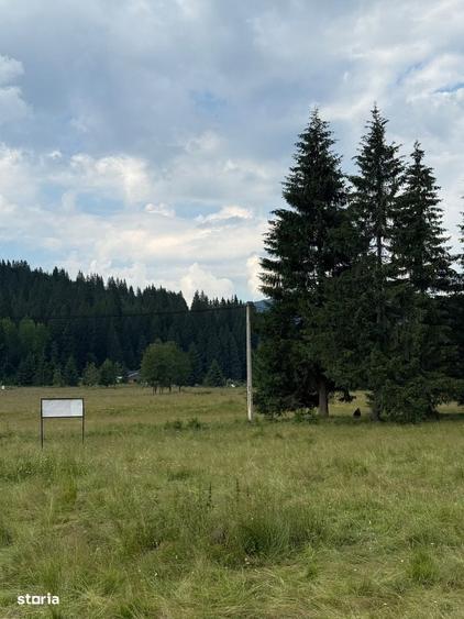 Spațiu comercial, în Central