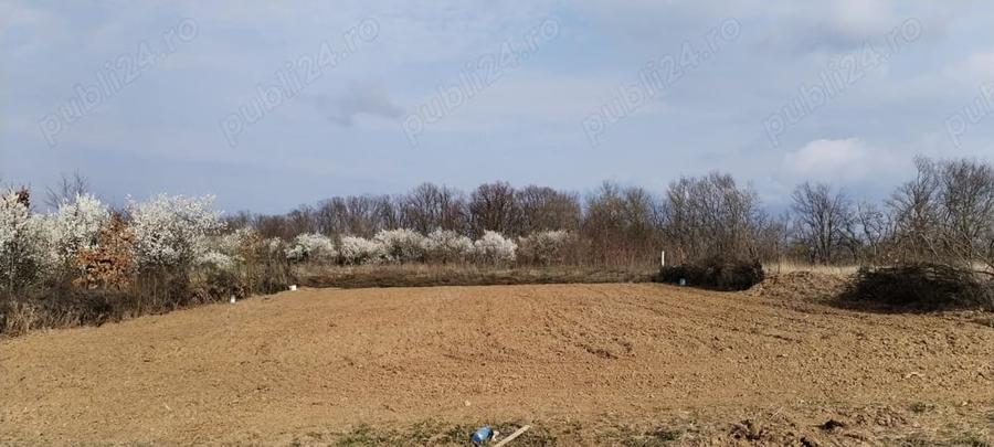 Teren de 888 mp, în Paleu