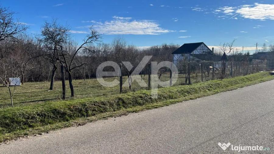 Casă cu 2 camere cu Teren 3772 Mp în Cocu