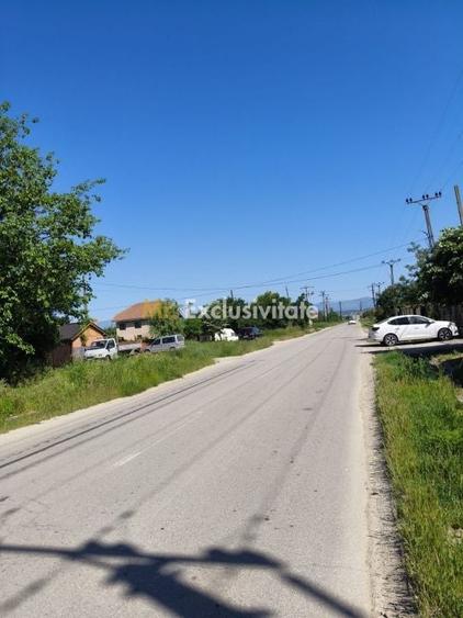 Teren agricol intravilan de 10294 mp, în Sud