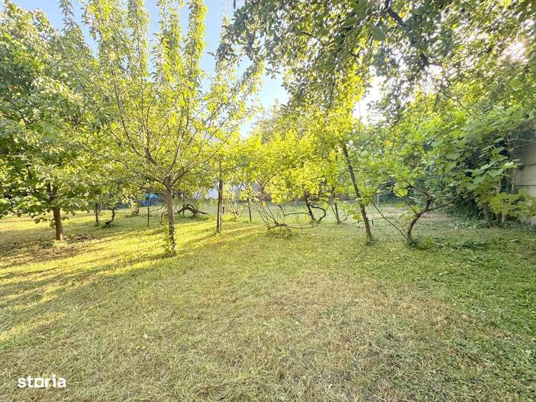 Casă cu 4 camere în Elisabetin