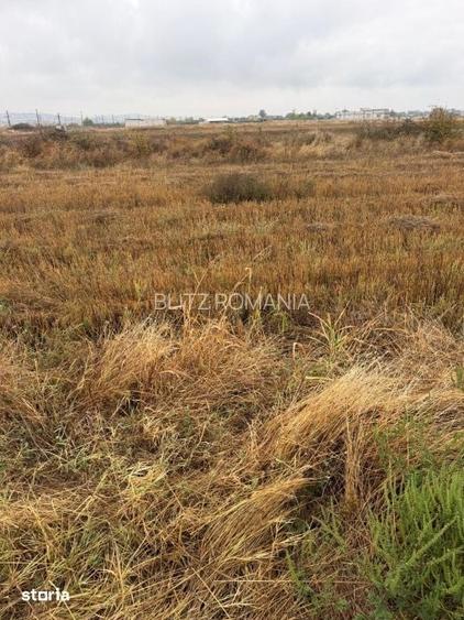Teren intravilan, 3000 mp, zona Est - Cotofenii din Fata