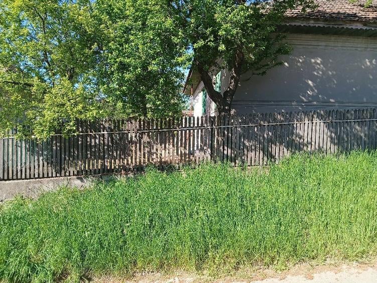 Casă cu Teren 800 Mp în Central
