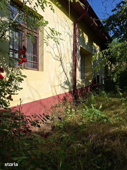 Casă cu 3 camere cu Teren 3000 Mp în Vârvor