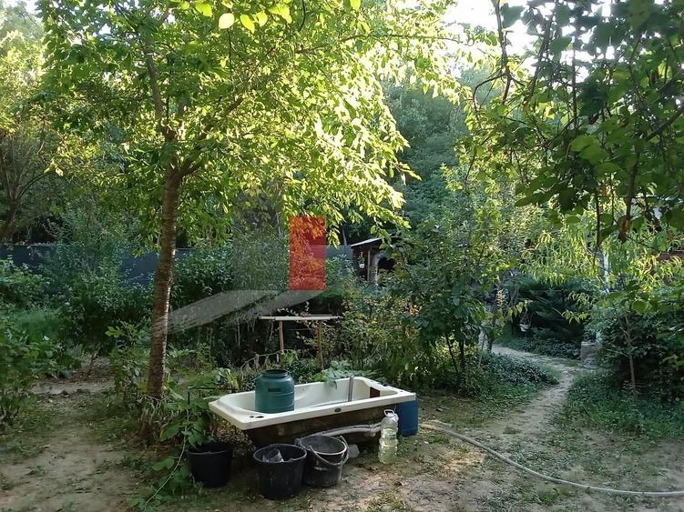 Teren în Copăceni