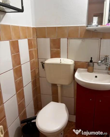 Apartament cu 2 camere semidecomandat în Crig