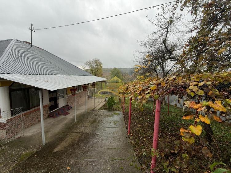 Casă individuală cu 5 camere cu Teren 1020 Mp în Blăgești