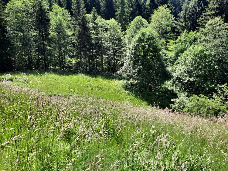 Teren de 3668 mp, în Malul Ursului