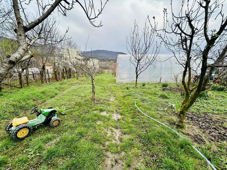 Casă cu 3 camere în Central