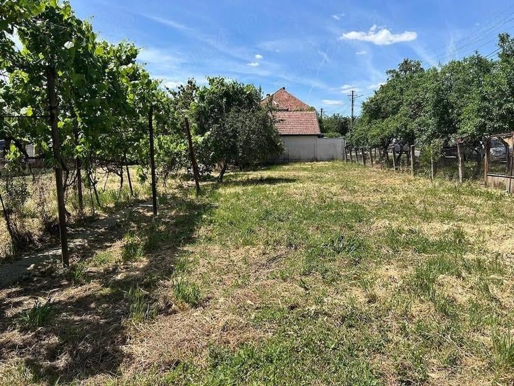Casă cu Teren 1000 Mp în Bujac