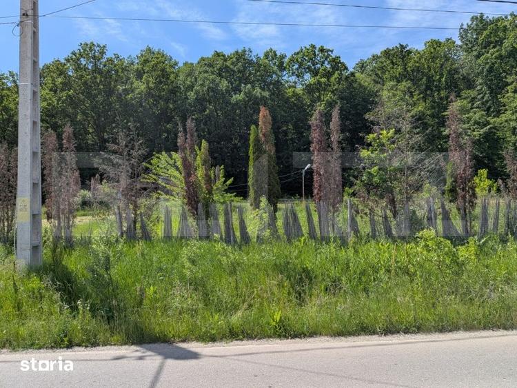 Teren de 957 mp, în Hulubești