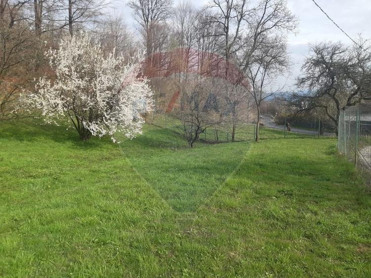 Casă individuală cu 7 camere cu Teren 3580 Mp în Tohănița