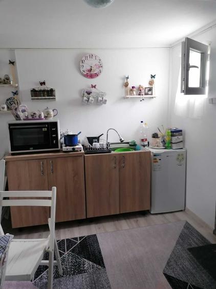 Teren munte cu cabana lemn si casa modulara - 7