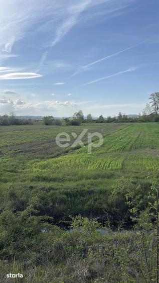 Teren de 20000 mp, în Budeasa