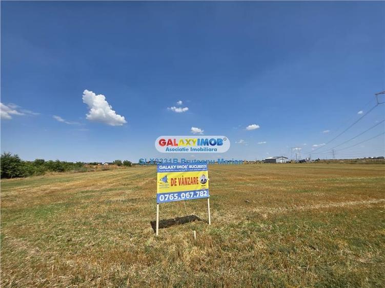 Teren Construcții intravilan de 24995 mp, în Clinceni