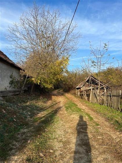 Casă individuală cu 3 camere cu Teren 2650 Mp în Burzuc
