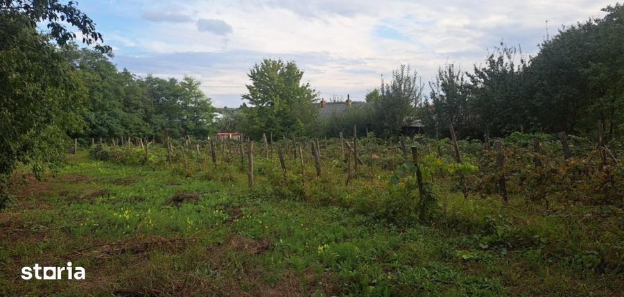 Teren de 1265 mp, în Strunga