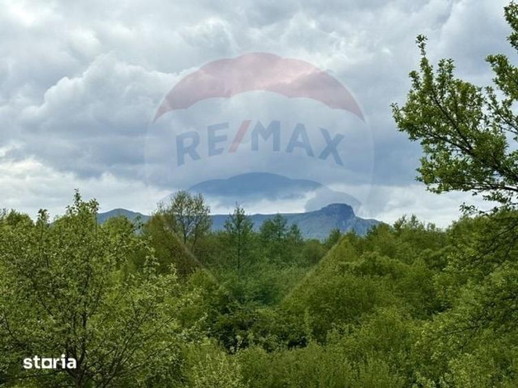 Teren de 20876 mp, în Breb