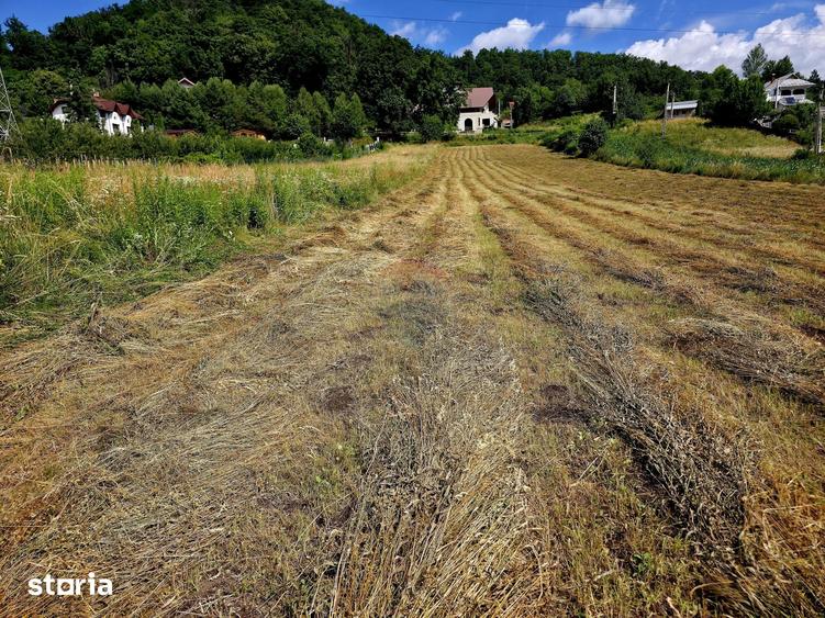Teren de 600 mp, în Alexandru cel Bun