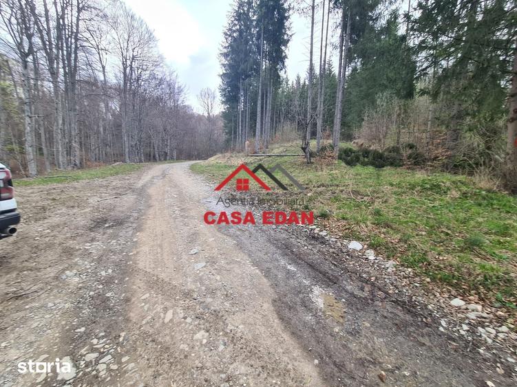 Teren de 20500 mp, în Valea Doftanei