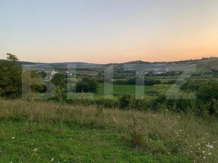 Teren Construcții intravilan de 17995 mp, în Sopor