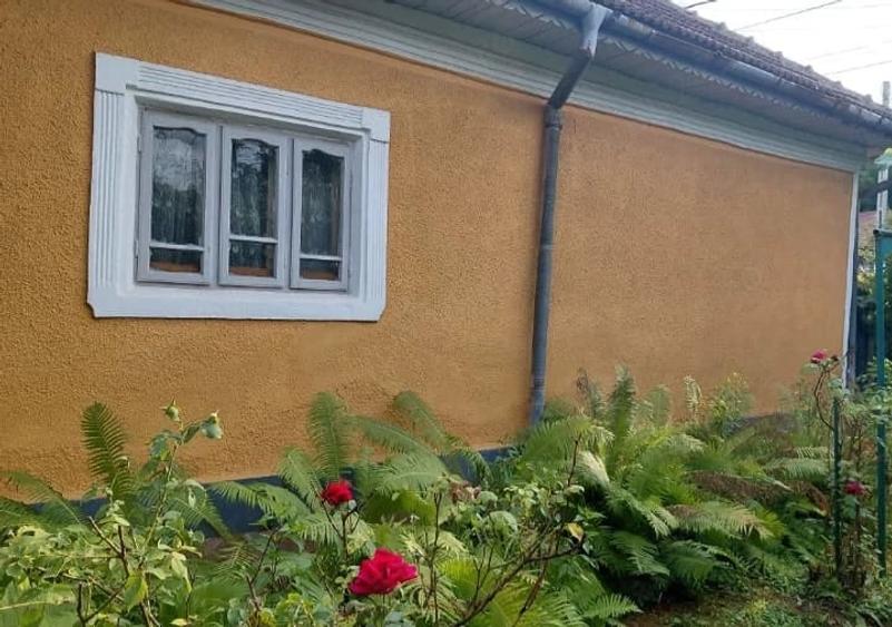 Casă cu 4 camere cu Teren 3400 Mp în Lupoaia