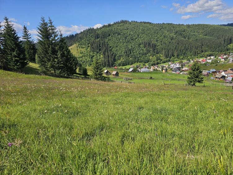 Teren extravilan de vanzare cu priveliste superba in Bucovina zona Breaza - 6