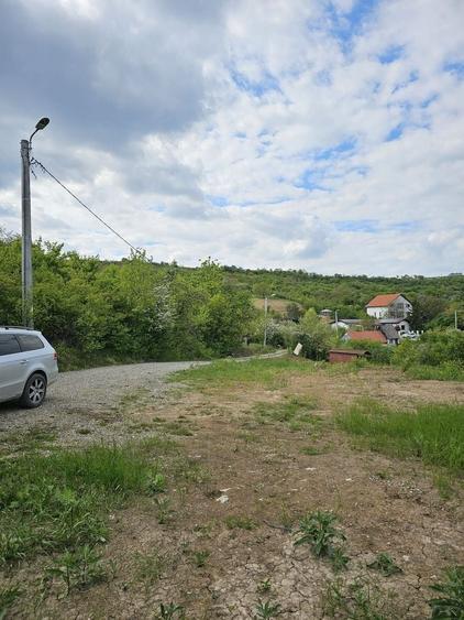 Teren agricol intravilan de 7000 mp, în Dealuri Oradea