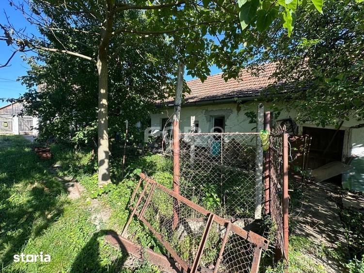 Teren de 3000 mp, în Tămășeu