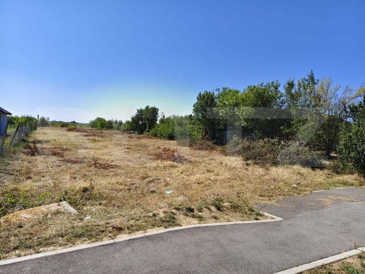 Teren agricol extravilan de 2576 mp, în Careiului