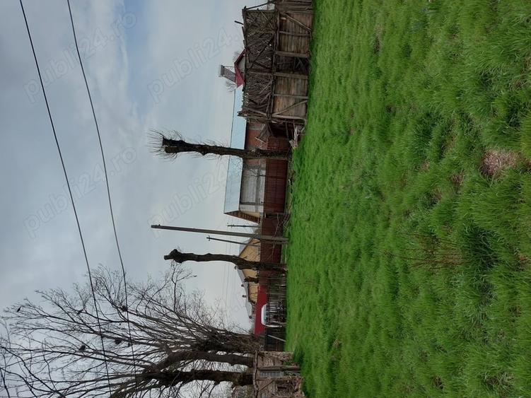 Teren de 2137 mp, în Șerbănești (Rociu)